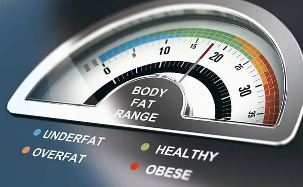 תקריב על משקל שכתוב עליו "Body Fat Range", "Healthy, "Obese", "Ubderfat" ו-"Overfat"
